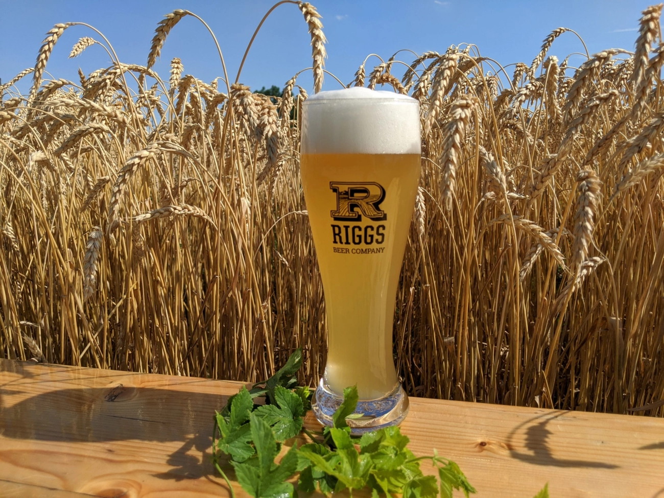 Sustainable Practices in Beverage Making Guide for Eco-Friendly Production