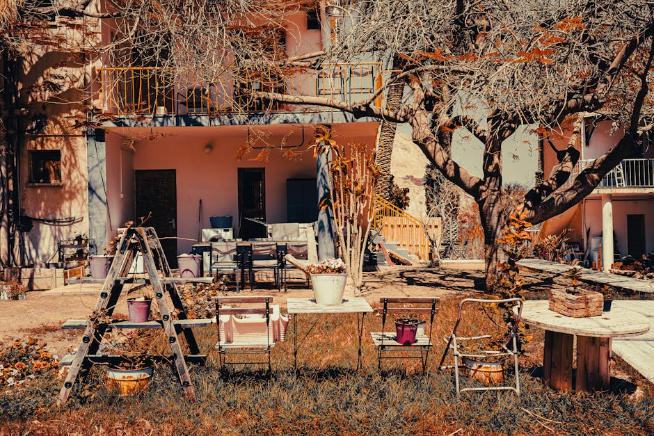 Rustic backyard space with garden decor and trees in Ein Gedi, Israel.