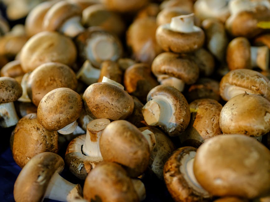 Close-up of fresh brown mushrooms with earthy tones and textures, ideal for food photography.